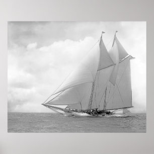 Schooneryacht Amerika Poster
