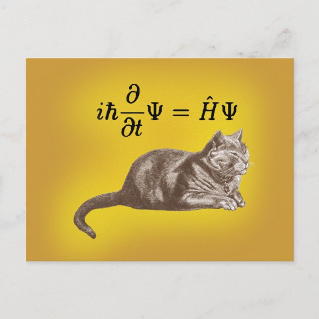 Schrodinger cat vykort (Framsida)