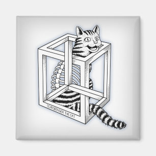 Schrodinger i Katt Magnet