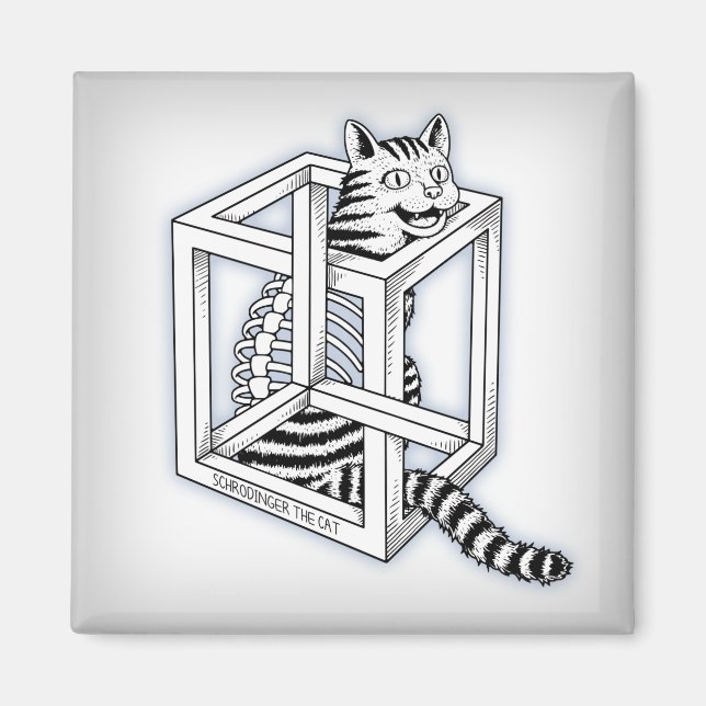 Schrodinger i Katt Magnet (Framsidan)