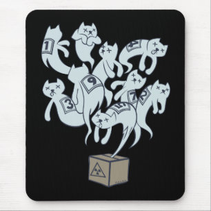 Schrödinger katt 9 liv musmatta