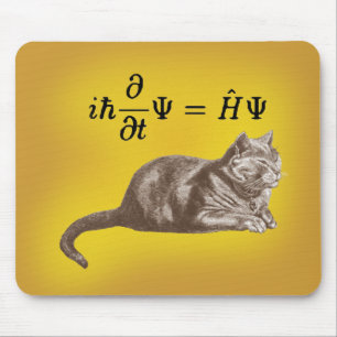 Schrodinger katt musmatta