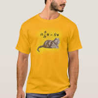 Schrodinger katt