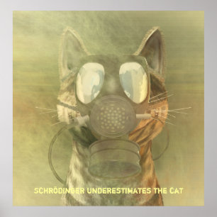 Schrödinger underskattar kattaffischen poster