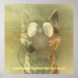 Schrödinger underskattar katten poster