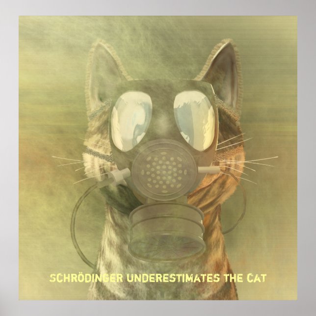 Schrödinger underskattar katten poster (Framsidan)