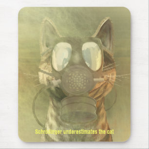 Schrödinger underskattar kattmousepaden musmatta