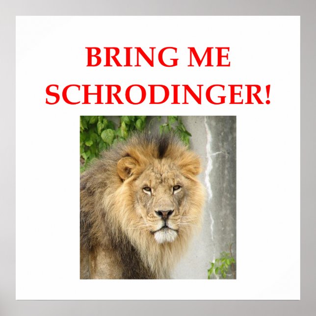 schrodingerkatt poster (Framsidan)