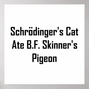 Schrodingers B.F. Skinners Duva för kattåt Poster