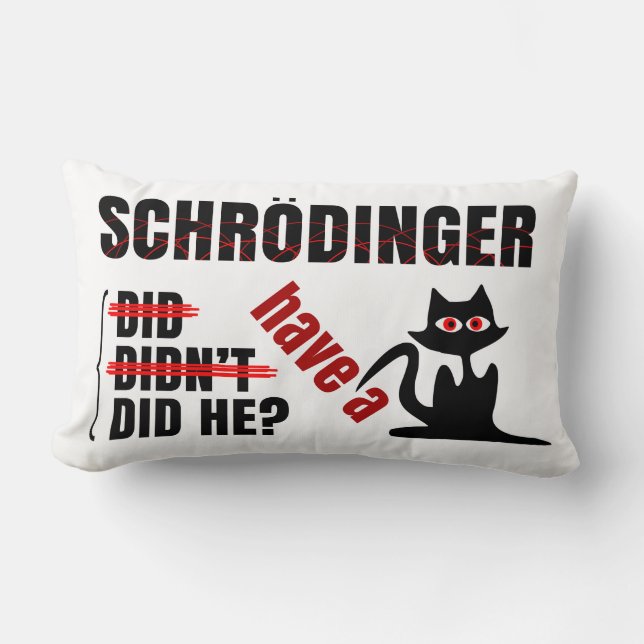 Schrodingers Dillema Lumbarkudde (Framsida)