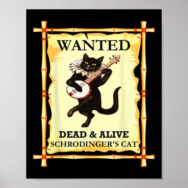 Schrodingers fysikkkkatt quantum Physicist Poster (Framsidan)