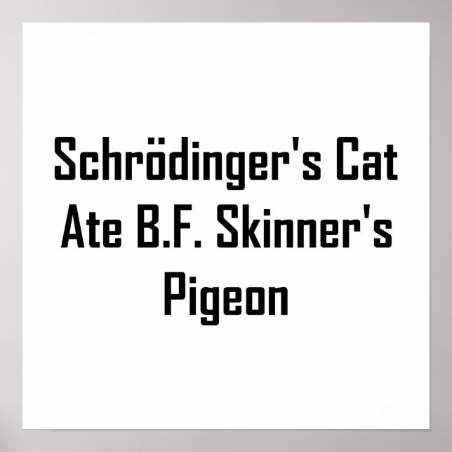 Schrodingers katt Ate B.F. Skinners Pigeon Poster (Framsidan)