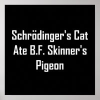 Schrodingers katt Ate B.F. Skinners Pigeon