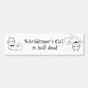 Schrödingers katt bildekal