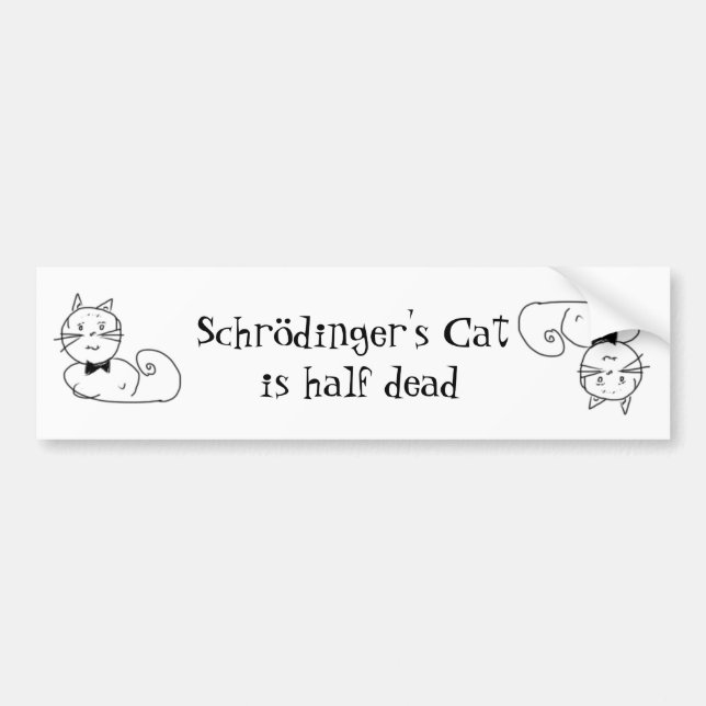 Schrödingers katt bildekal (Framsidan)