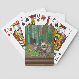 Schrodingers katt casinokort