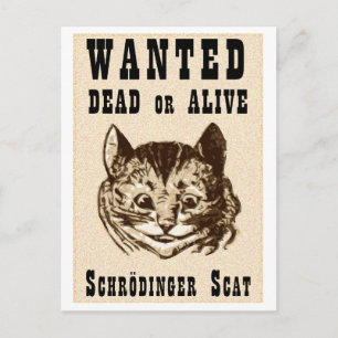 Schrödingers katt efterlysning vykort
