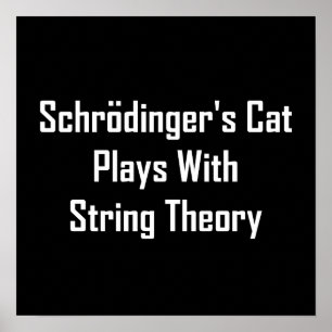 Schrodingers katt leker med ståtande teori poster