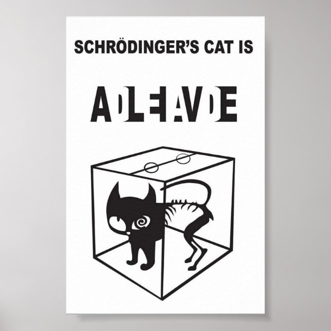 Schrödingers katt levande och död – kvantfysik poster (Framsidan)