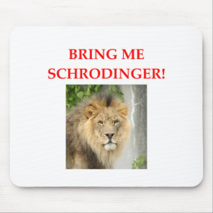 schrodingers katt musmatta