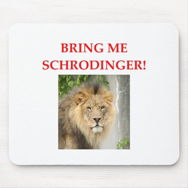schrodingers katt musmatta (Framsidan)