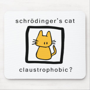 schrodingers katt musmatta