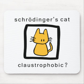 schrodingers katt musmatta