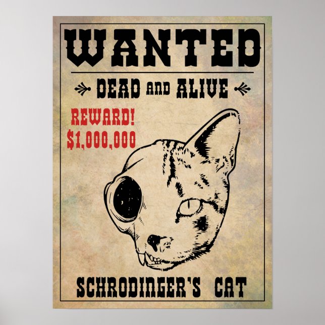 Schrodingers katt önskad II Poster (Framsidan)