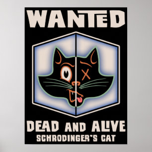 Schrodingers katt önskad poster