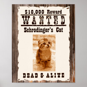 Schrodingers katt önskade affisch