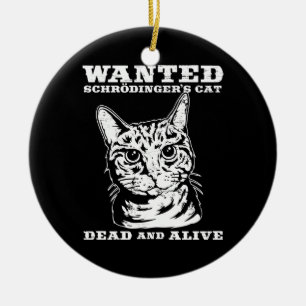 Schrodingers katt önskade dead eller vid liv julgransprydnad keramik