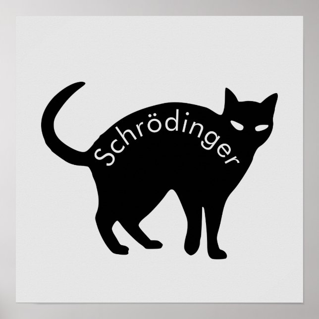 Schrödingers katt poster (Framsidan)
