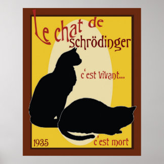Schrodingers katt poster