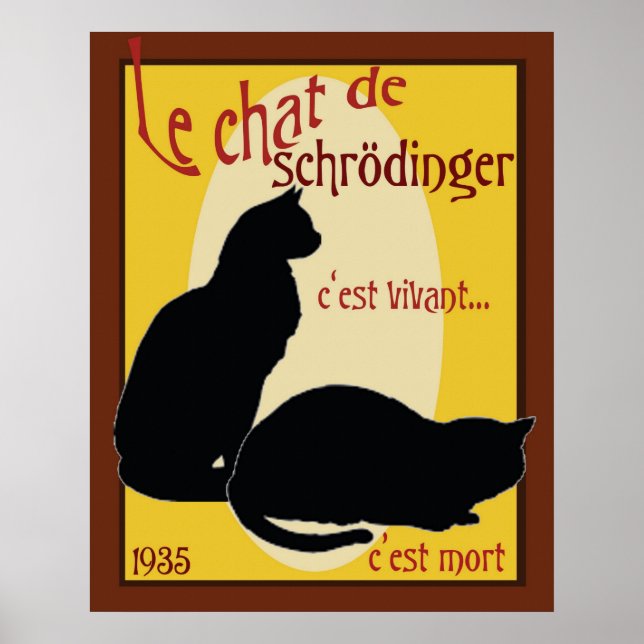 Schrodingers katt poster (Framsidan)