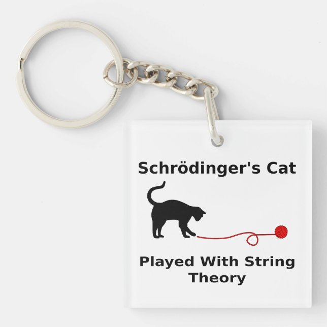 Schrödingers katt som lekas med, stränger teori (Framsidan)