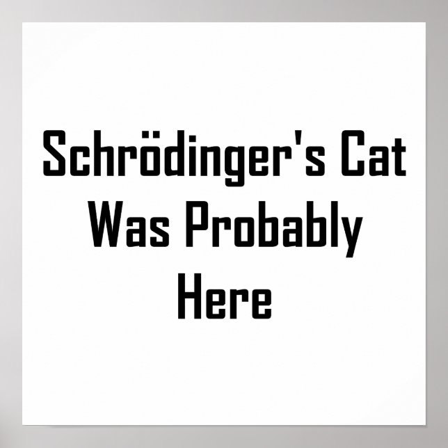 Schrodingers katt var förmodligen här poster (Framsidan)