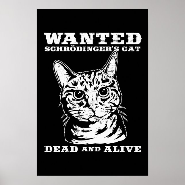 Schrodingers katt ville dö eller leva poster (Framsidan)