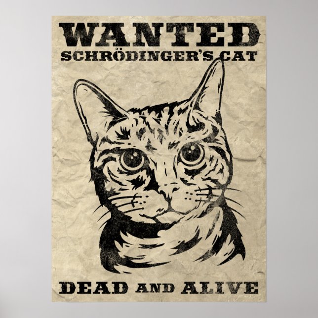 Schrodingers katt ville dö eller leva poster (Framsidan)