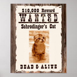 Schrodingers katt ville poster