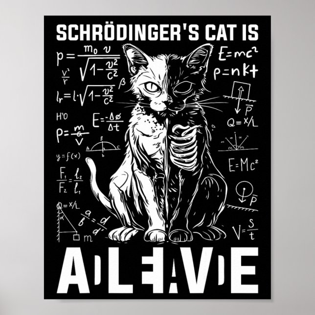 Schrodingers kattdöd och levande fysik poster (Framsidan)