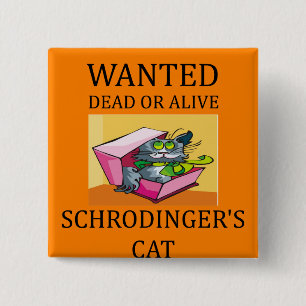 schrodingers kattskämt knapp