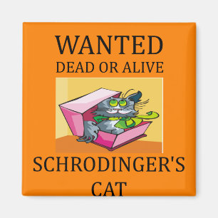 schrodingers kattskämt magnet