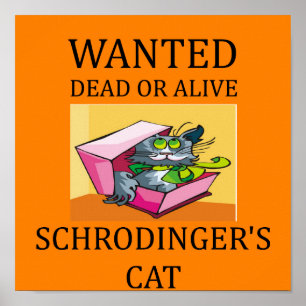 schrodingers kattskämt poster