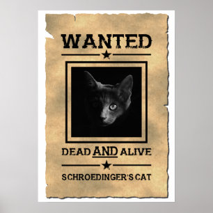 Schroedingers Poster Cat Wanted   Fysisk skämt