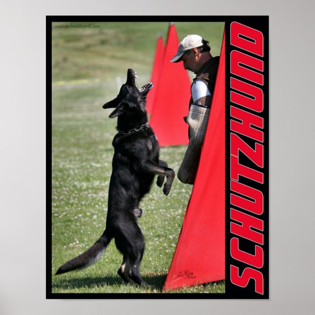 Schutzhund German Shepherd Hund Poster (Framsidan)