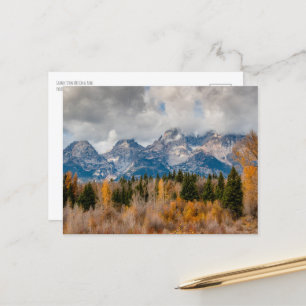 Schwabacher Landing Grand Teton nationalpark Vykort