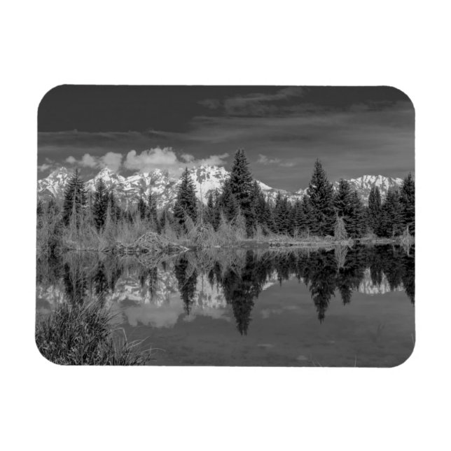 Schwabacher Landing Magnet (Horisontell)