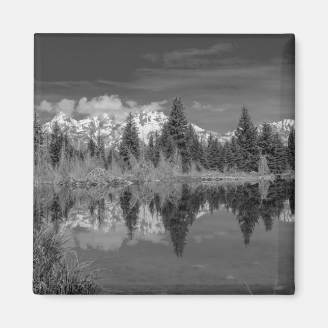 Schwabacher Landing Magnet (Framsidan)