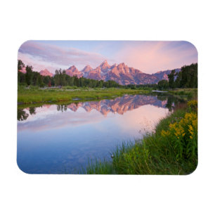 Schwabacher landningsoluppgång magnet