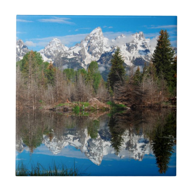 Schwabacher's Landing, Grand Teton Kakelplatta (Framsidan)